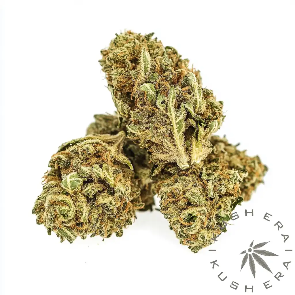 [Top-Shelf] Mo Mints | Hybrid Flower - Kush Era | Washington DC ...