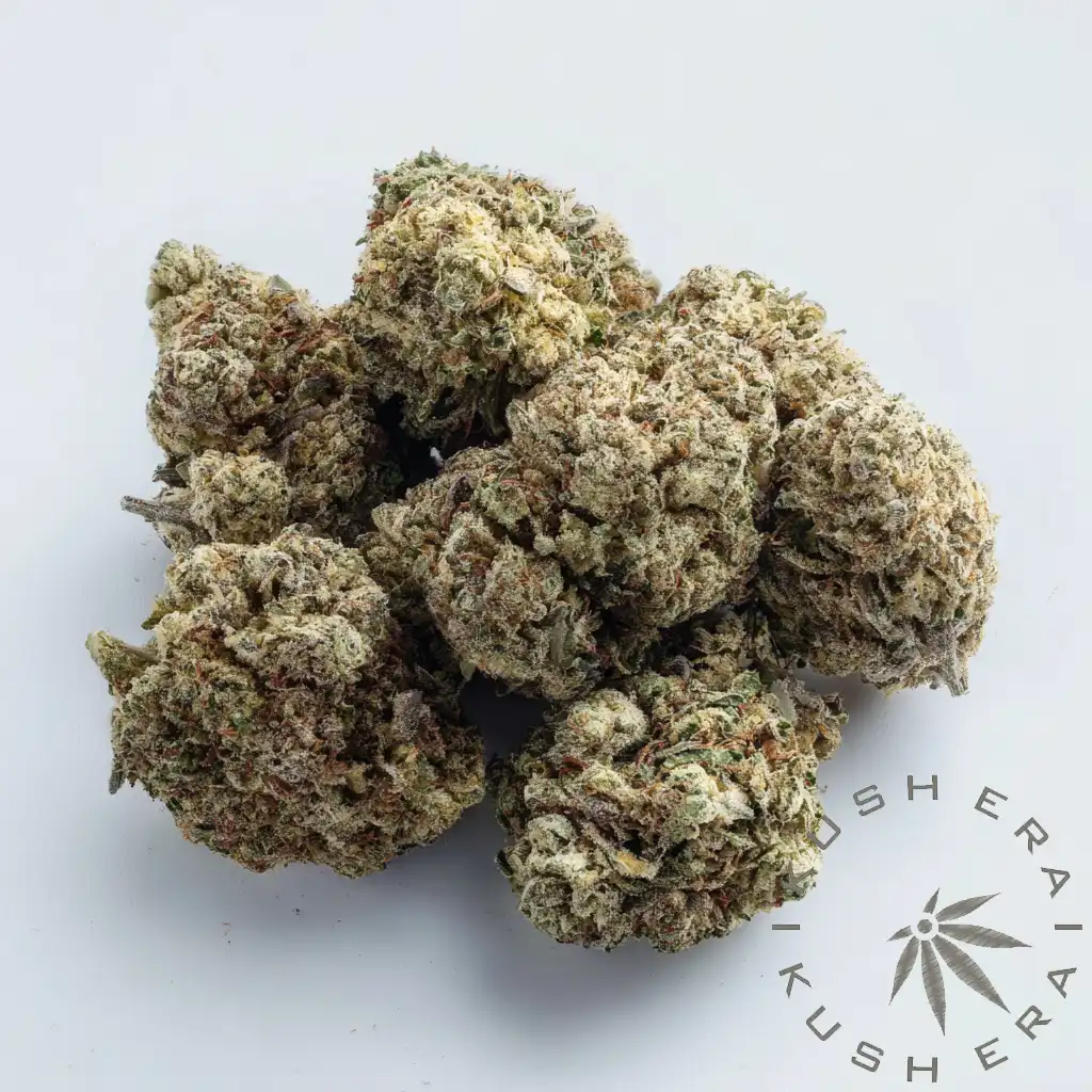 [Exotic Indoor] Space Runtz | Hybrid Flower - Kush Era | Washington DC ...
