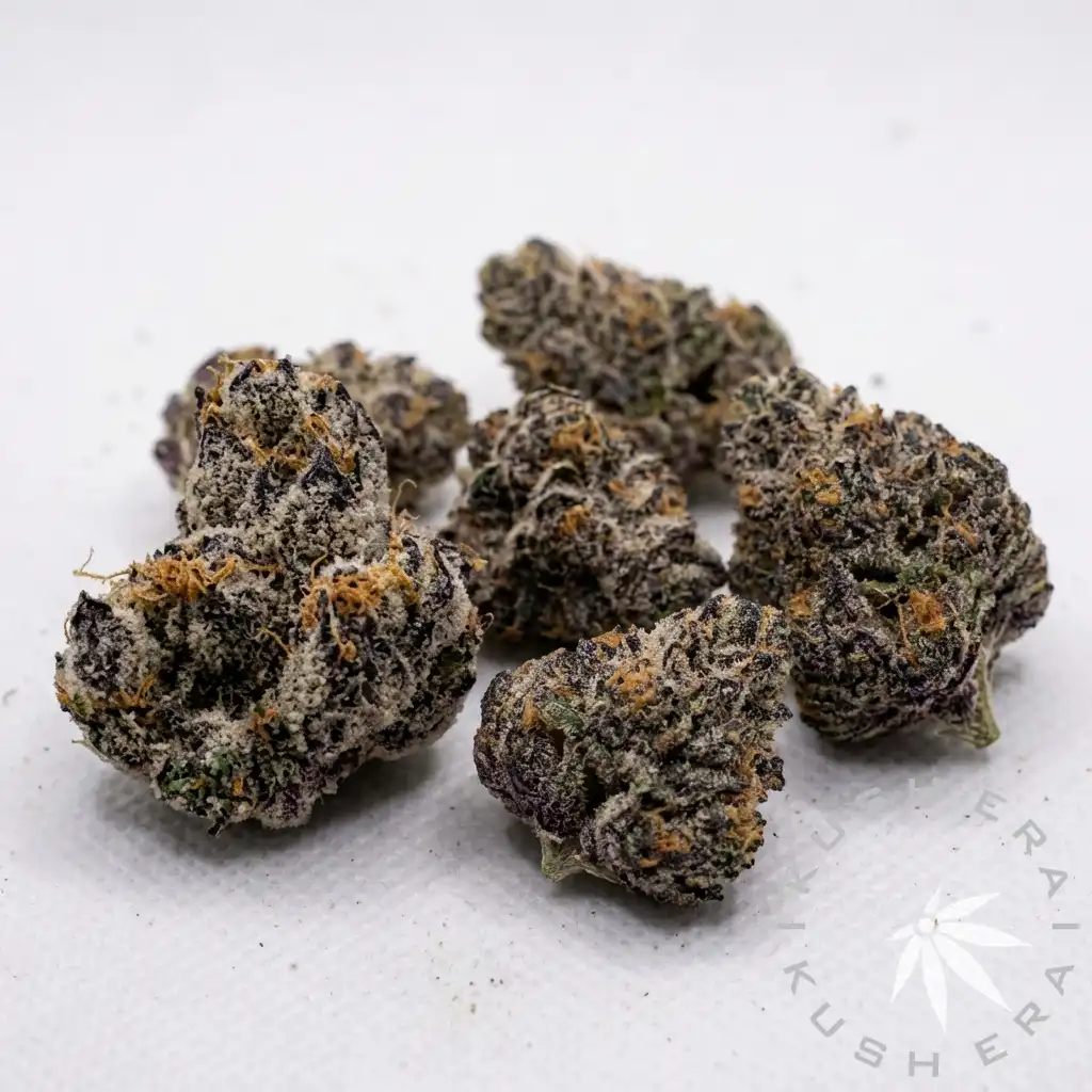 [Exotic Indoor] Purple Runtz | Hybrid Flower - Kush Era | Washington DC ...
